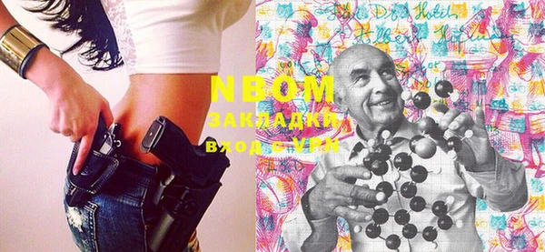 индика Арсеньев