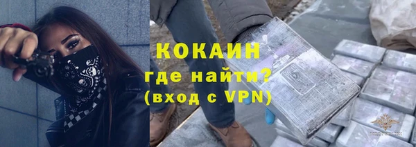 индика Арсеньев