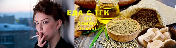 индика Арсеньев