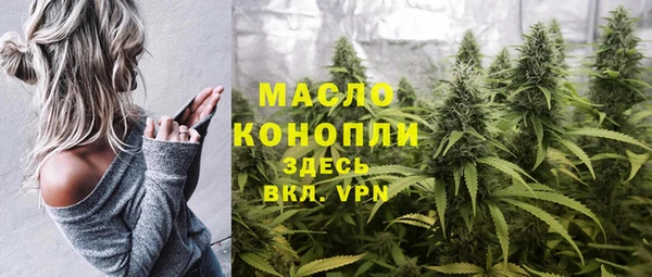 индика Арсеньев