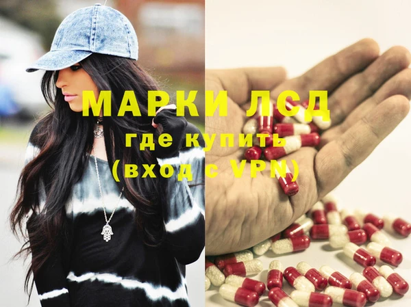 индика Арсеньев