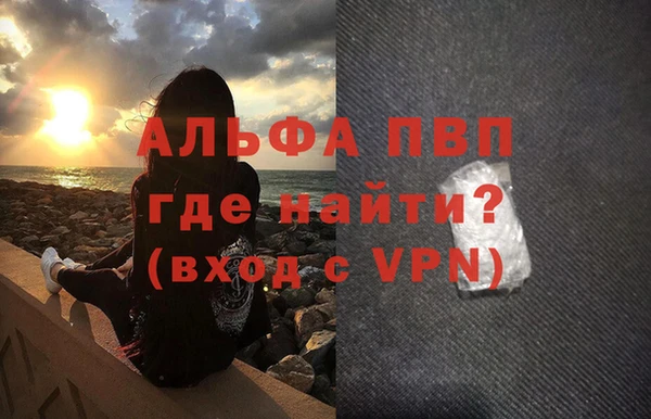 индика Арсеньев