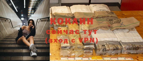 индика Арсеньев