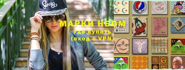 индика Арсеньев
