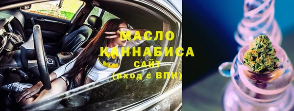 индика Арсеньев
