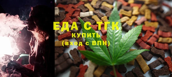 индика Арсеньев