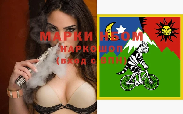 индика Арсеньев
