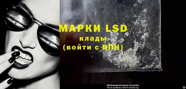 индика Арсеньев